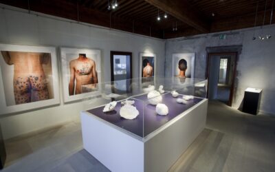 !Attention fragile! porcelaine contemporaine (première partie)