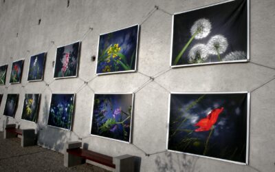 L’herbier d’Humerose