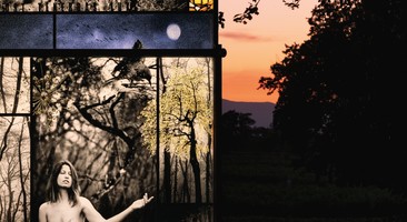 Reflets & transparence