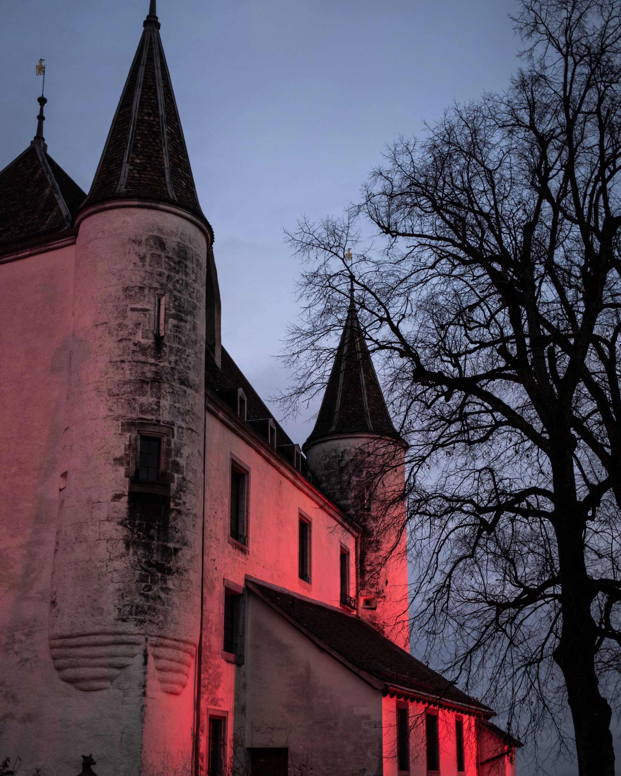 Photo Château de Nyon Photo Château de Nyon