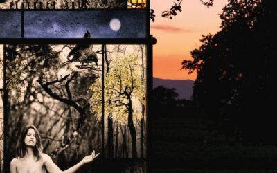 Reflets et transparence